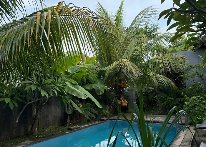 威利住宿加早餐旅馆 民宿 乌鲁瓦图