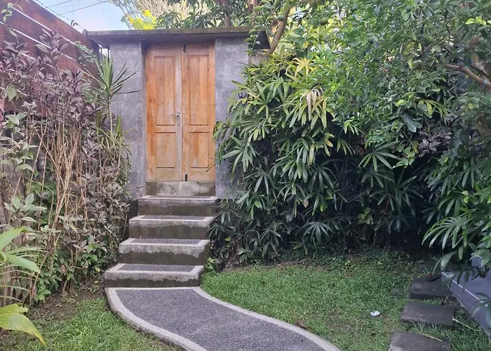 威利住宿加早餐旅馆 民宿 乌鲁瓦图