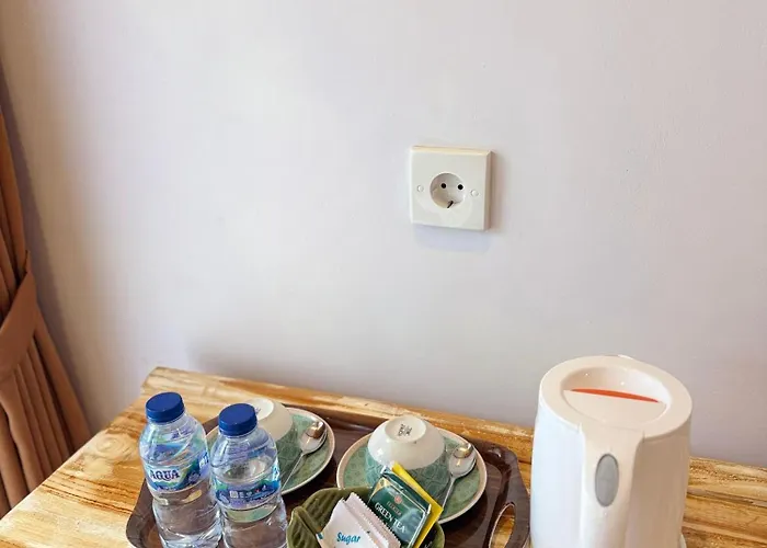 威利住宿加早餐旅馆 民宿 *